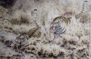 田茂怀作品