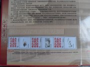 百双虎作品