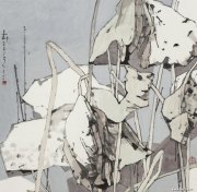 张卉作品