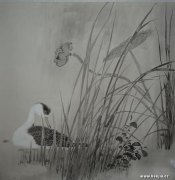 刘云博作品