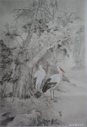 刘云博作品