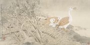刘云博作品