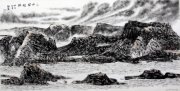 王雪林作品