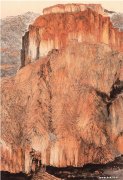 杨军作品