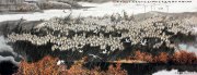陈华民作品
