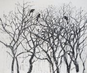 黄卓君作品