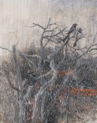 黄卓君作品