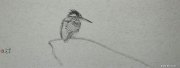 孙小光作品