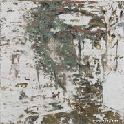 曲鸽作品