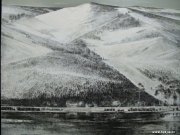 刘长新作品
