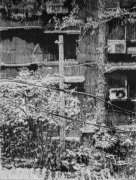 邬林作品