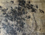 谭长德作品