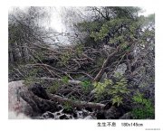 李刚作品
