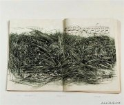 万子亮作品