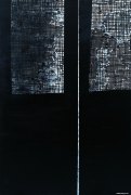 王怀庆作品