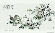 王晓军作品