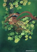 韩雅怡作品