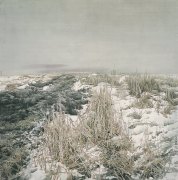 王宏作品