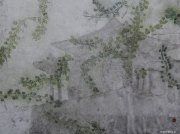 刘爱婧作品