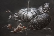 郭海博作品