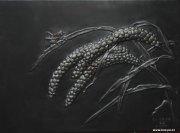 郭海博作品