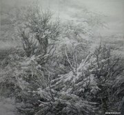 贾天浩作品