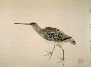 范金镛作品