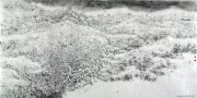 金兆韬作品