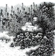 陈长来作品