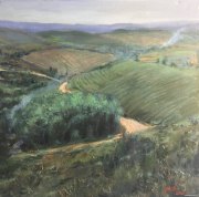 张丹阳作品