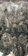 沈荣华作品