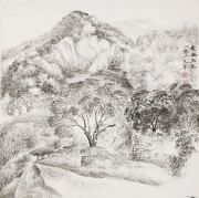 郝兴起作品