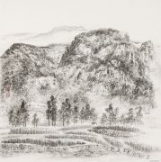 郝兴起作品