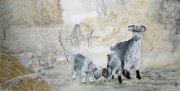 孙自安作品