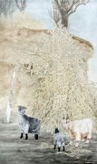 孙自安作品