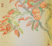 张德娜作品