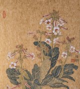 张德娜作品