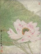 李学梅作品