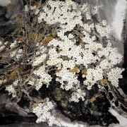 孙瑞春作品