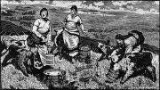 李焕民作品