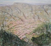 孔阳作品