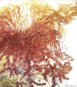 徐飞作品