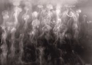 陈绍华作品