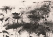 董小明作品