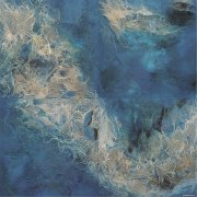 胡明哲作品