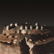 李秀勤作品