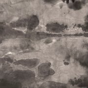 李庚作品