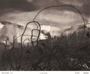 李宝泉作品