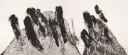 尚扬作品