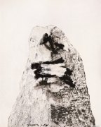 尚扬作品